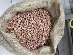 ΦΥΣΤΙΚΙΑ ΨΗΣΙΜΟ